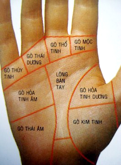coi bói chỉ tay qua các gò