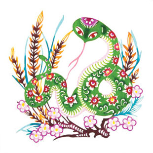 Xem tử vi Vận hạn tuổi Tỵ năm Ất Mùi 2015 tu vi tuoi0ty Xem tử vi vận hạn tuổi Tỵ năm Ất Mùi 2015