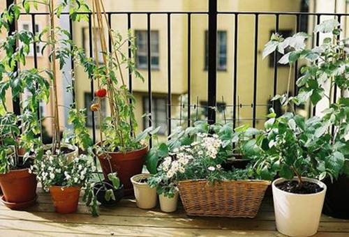 Biến tấu với ban công Biến tấu với ban công
