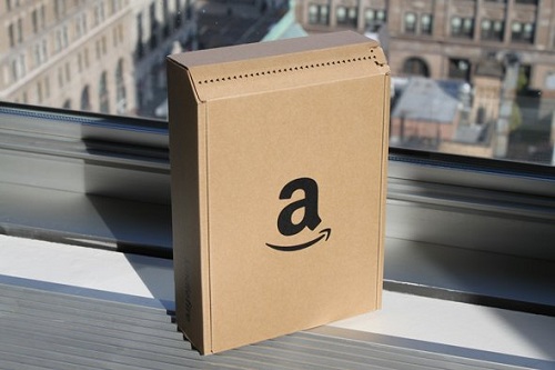 10-su-that-kho-tin-ve-amazon-1
