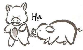 tu-vi-tron-doi-tuoi-ky-hoi-nam