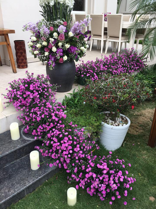 Mỗi ngày chị đều dành thời gian để xịt nước hai lần cho những chậu hoa, giúp chúng tươi lâu, bền màu.