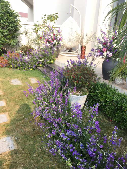 Khi lên ý tưởng trang trí ngôi nhà với những sắc hoa xuân như violet, thược dược, chị Hạnh muốn các con dù học trường quốc tế hay đi đâu, làm gì thì vẫn nhớ đến Tết Việt, bởi đó là cội nguồn văn hóa làm nên vẻ đẹp tâm hồn của mỗi con người.