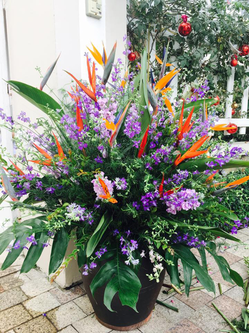 Hoa violet dân dã nên chị cũng lựa bình cắm đi cùng là những chiếc chum màu nâu đơn giản.