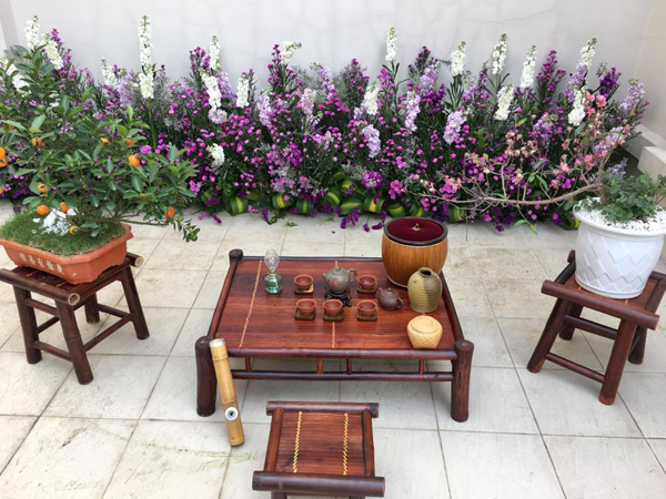 Những ngày nắng gắt, chị Hạnh thay hoa violet bằng hoa thạch thảo tím.