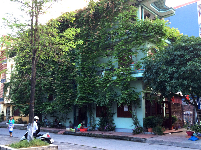 Giàn cây giải nhiệt cho ngôi nhà hướng Tây 3 mặt đường