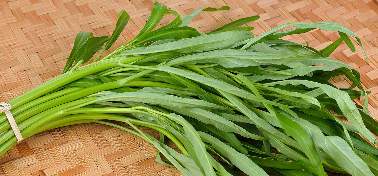 Kết quả hình ảnh cho rau muống